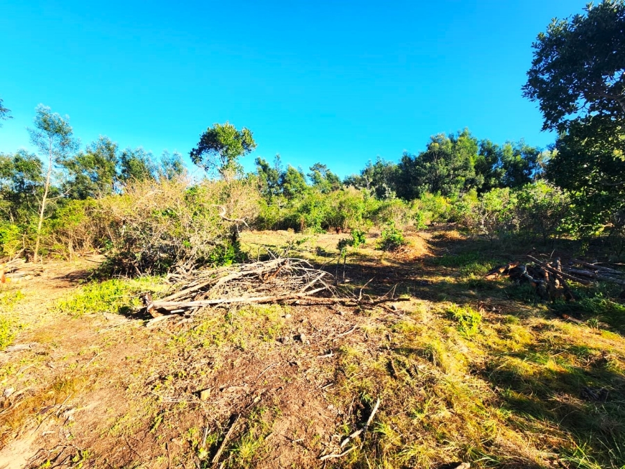 Commercial Property for Sale in Langvlei Dunes Western Cape